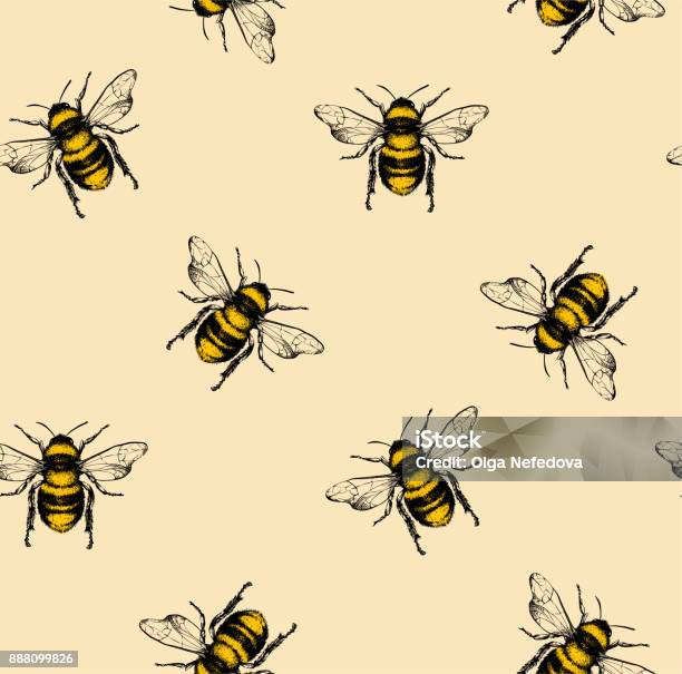 Vector Pattern With Honey Bee - Arte vetorial de stock e mais imagens de Abelha - Abelha, Ilustração, Padrão
