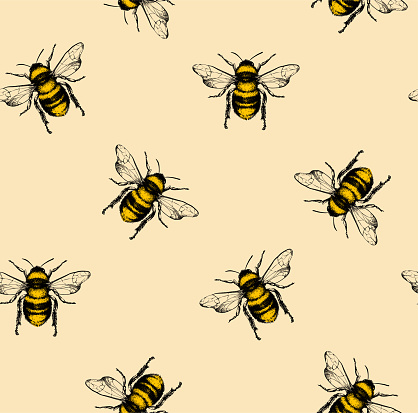 Vector pattern with honey bee.