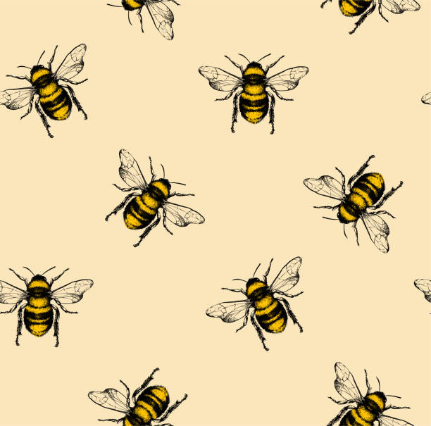 Vector pattern with honey bee. Vector seamless pattern with honey bee. Engraving style. tattoo seamless texture stock illustrations