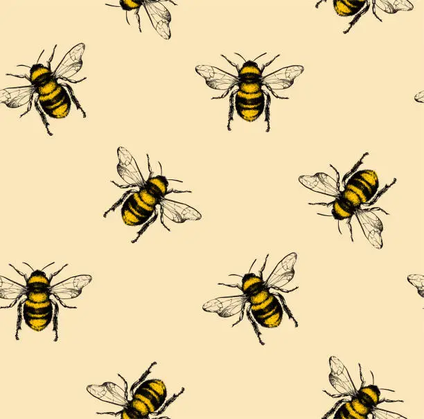 Vector illustration of Vector pattern with honey bee.