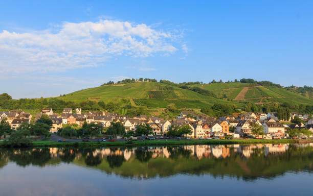 istock Summer morning Zell at the river Moselle 888099828