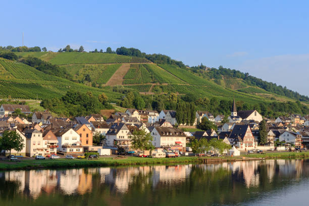 istock Morning reflection Zell am Mosel 888100178