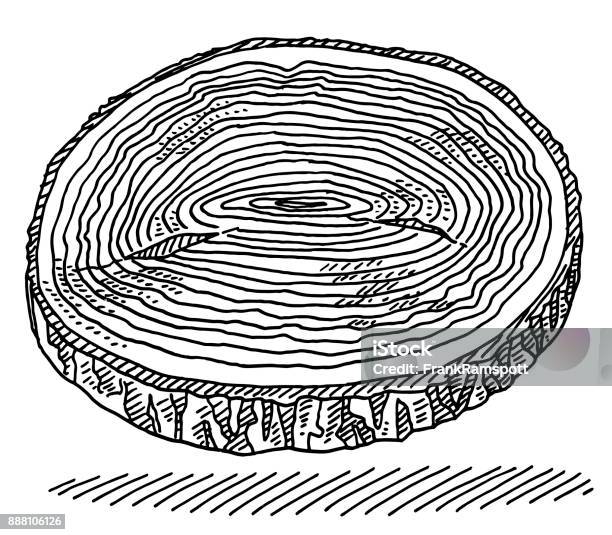 Tree Disc Annual Rings Drawing Stock Illustration - Download Image Now - Tree Ring, Tree, Ring - Jewelry