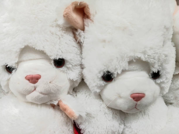 istock eddy Bear, Stuffed Toy, Toy, Doll, Single Object 888109226