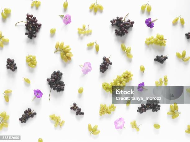 Black And Green Grapes Lilac Flowers On A White Background Stock Photo - Download Image Now