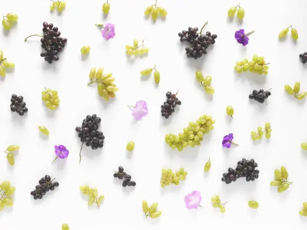 Black and green grapes, lilac flowers on a white background. The pattern of grapes of different varieties, top view. Food background.