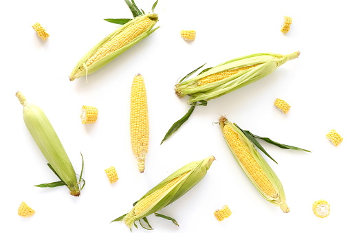 Food collage of fresh vegetables, top view. Corn in the cob isolated on white background. Abstract composition of vegetables. The concept of healthy eating. Food pattern.