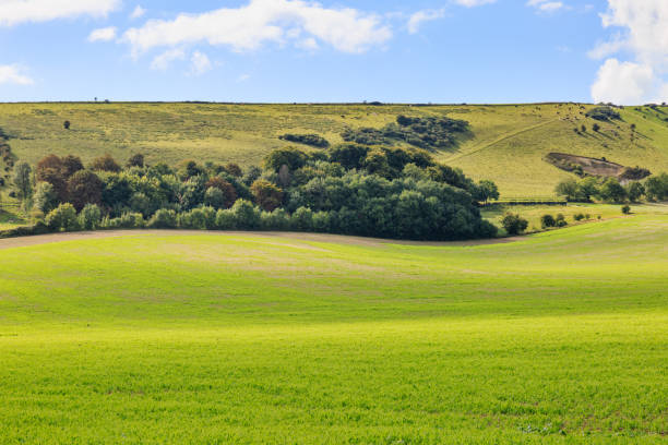istock Sussex Landscape 888120110