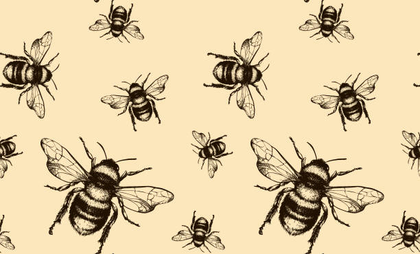 Bee vector seamless pattern Vector seamless pattern with honey bee. Engraving style. bee patterns stock illustrations
