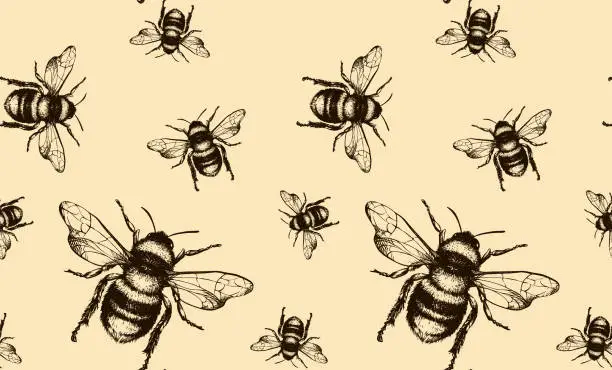 Vector illustration of Bee vector seamless pattern