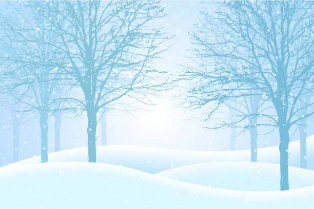 istock Vector illustration of winter forest with snow and mist, suitable as Christmas greeting card 888123952