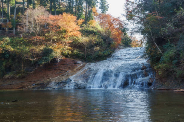 istock Awamata Falls with Autumn Leaves 888126924