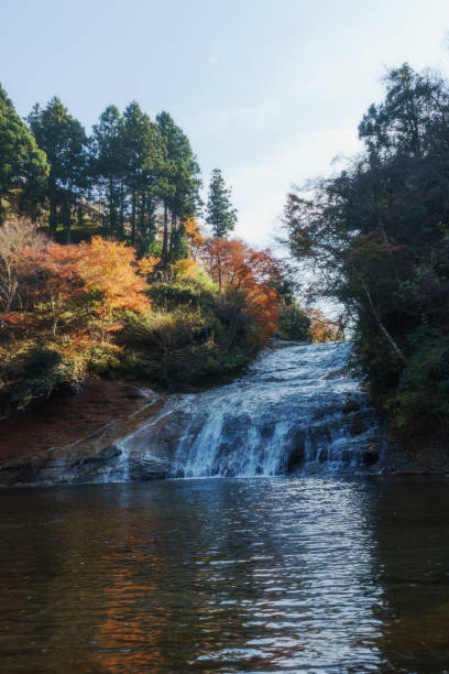 istock Awamata Falls with Autumn Leaves 888127932