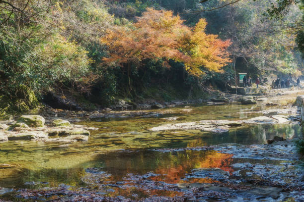 istock Autumn Leaves in Yoro Valley 888128024