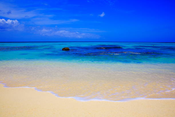 Idyllic tropical turquoise Beach from low angle view – sunny blue lagoon, Dutch Antilles, Caribbean sea
