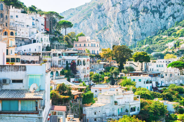 istock Villas Architecture in Capri Island 888135854