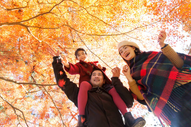 jeune famille jouissant automne der érable japonais arbre - japanese maple autumn leaf tree photos et images de collection