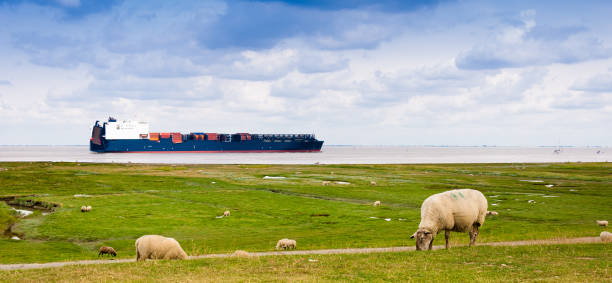Picture taken on a dike close to Cuxhaven, Germany