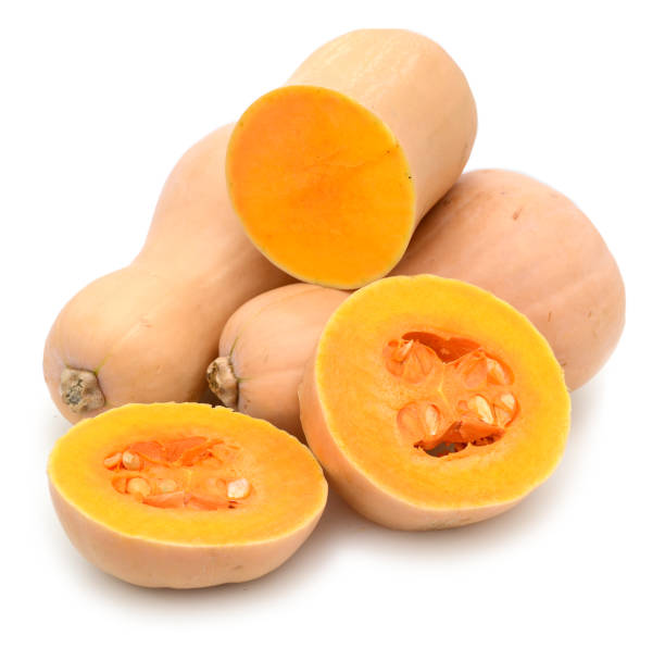 istock butternut squash isolated on white Fresh butternut squash isolated on white background 888146554