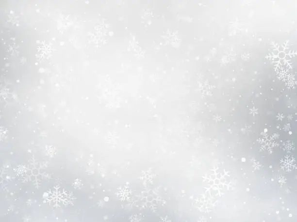 Vector illustration of silver winter Christmas background with snowflakes