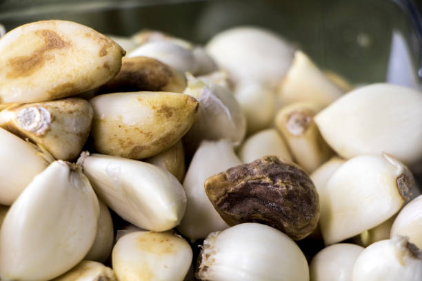 istock Harvested garlic partly rotten 888153648