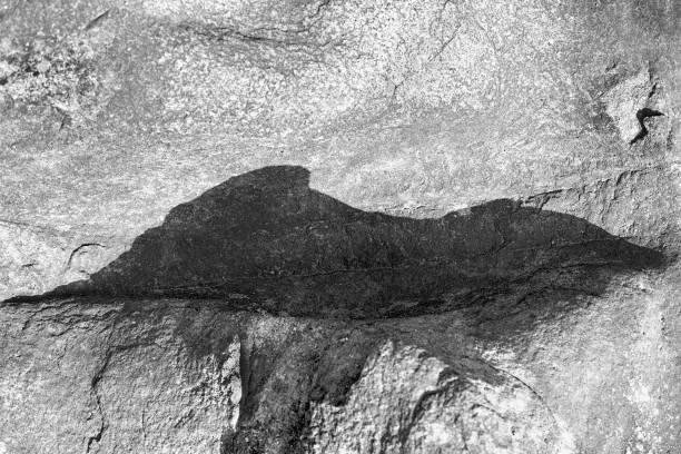 istock Shapes of Stones. 888166758