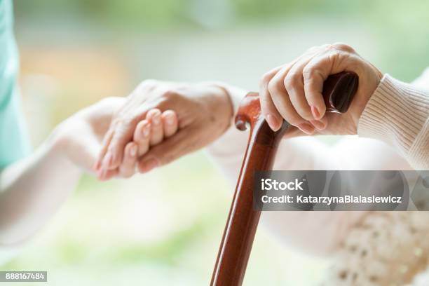 Elder Person Supported On Stick Stock Photo - Download Image Now - Home Caregiver, Senior Adult, Assisted Living