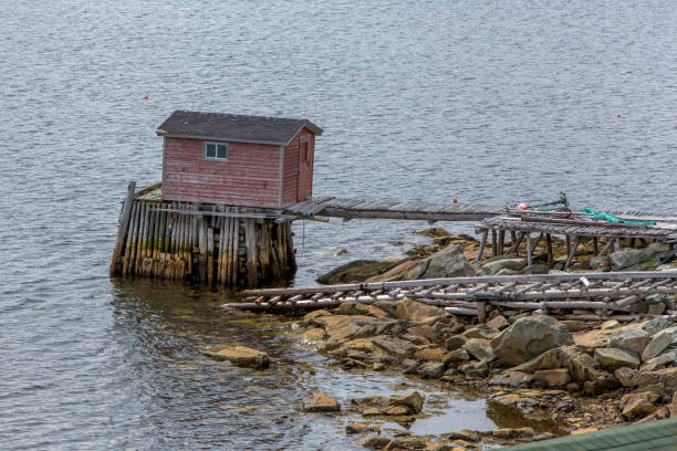 istock fishing stage on Fogo Island 888182618