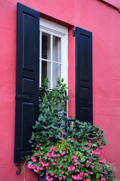 istock Charleston, South Carolina 888183520
