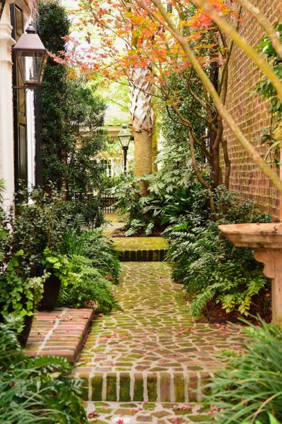 istock Charleston, South Carolina 888183716