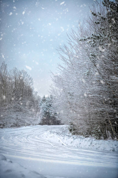 istock Digital art, paint effect, Winding path in the Winter Forest with a Blizzard 888186768