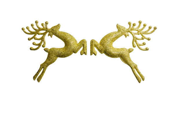 two golden reindeer isolated on white background, decoration christmas day. File contains a clipping path.
