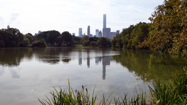 istock Central Park - Manhattan, New York City 888196250