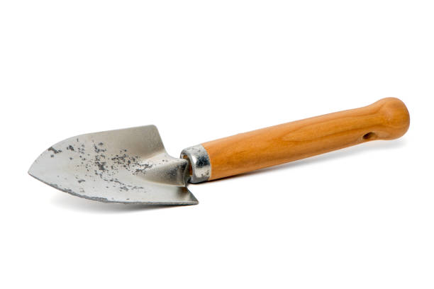 istock Small gardening shovel 888196412