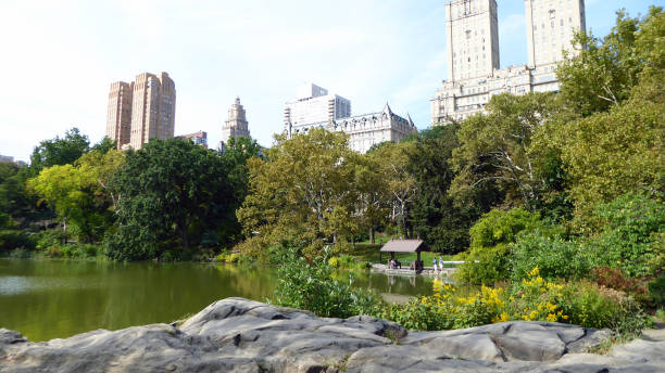 istock Central Park - Manhattan, New York City 888198868