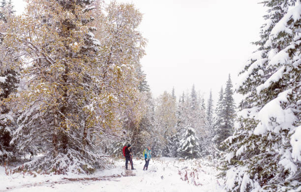 istock Tourists stay in the forest 888199882