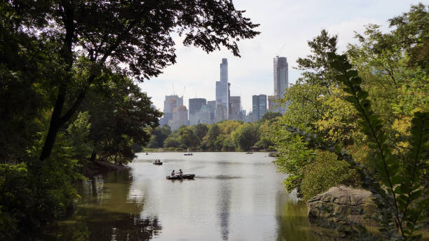 istock Central Park - Manhattan, New York City 888199912