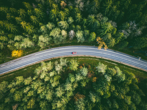 istock Aerial View Of Road Amidst Trees 888200304