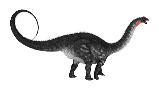Spinosaurus toy isolated on white.My other similar images:
