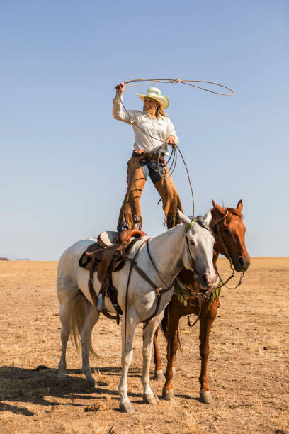 cowgirl drehte ein lasso - rodeo lasso cowboy horse stock-fotos und bilder