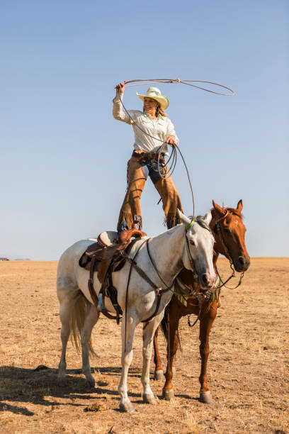 cowgirl twirling a lasso - cowgirl imagens e fotografias de stock