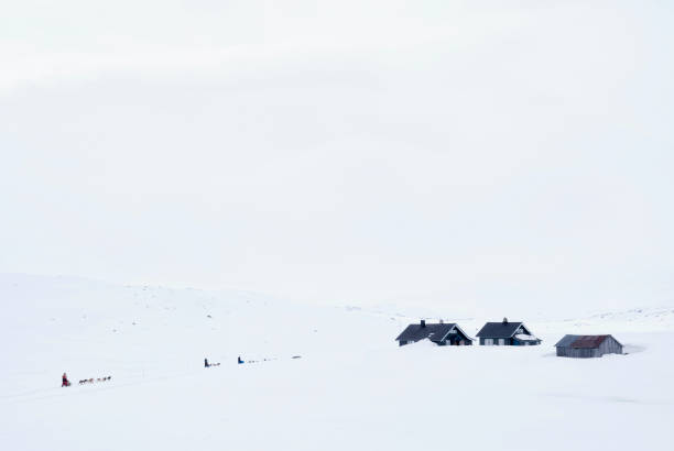 istock Dog sled on the Hardangervidda 888209916