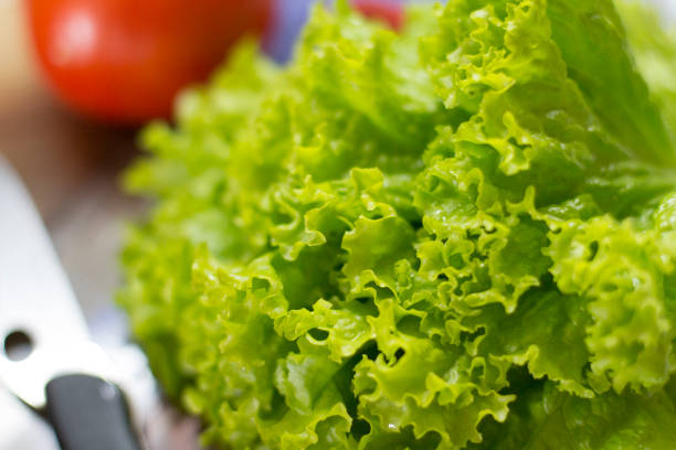 Garden Salad stock photo