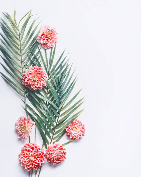 istock Tropical palm leaves and exotic flowers on white desktop background, top view, creative layout 888216102