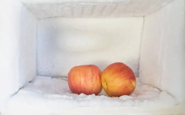 Red apple in freezer of a refrigerator. Ice buildup inside of a freezer walls.