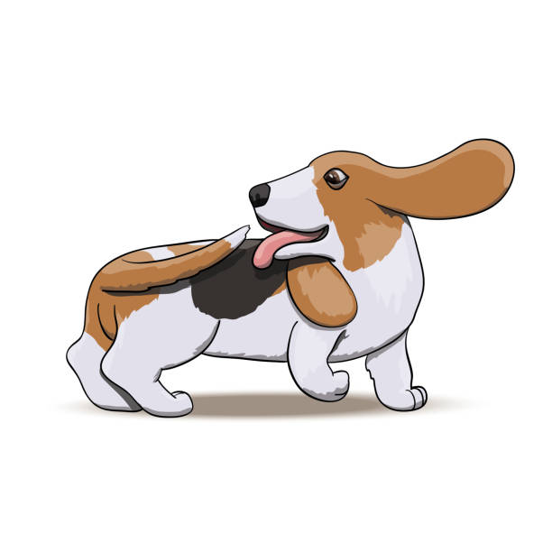 Dog Chase Tail Illustrations, Royalty-Free Vector Graphics & Clip Art - iStock Dog Chase Tail Illustrations, Royalty-Free Vector Graphics & Clip Art - iStock
