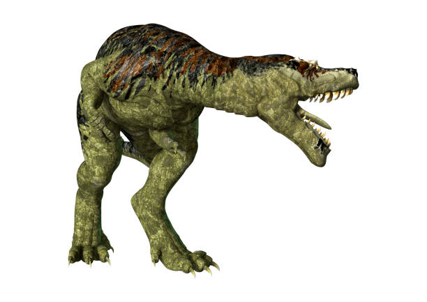 3D rendering of a dinosaur Tyrannosaurus Rex isolated on white background
