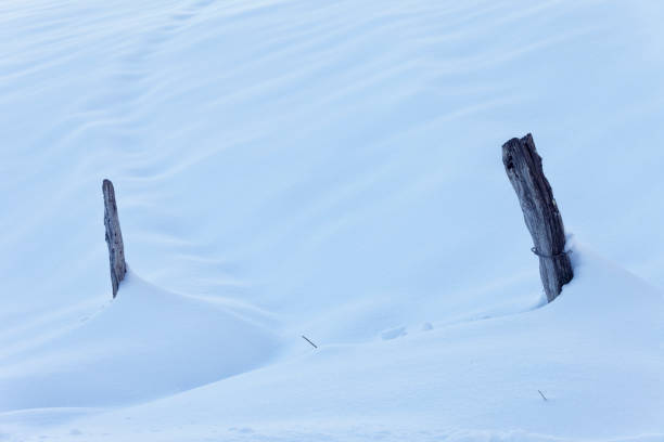 Natural snow background with wooden poles Natural snow background with wooden poles and wire rolled. wood and wire fence designs pictures stock pictures, royalty-free photos & images