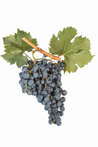 istock Bunch of grapes isolated on white 888240978