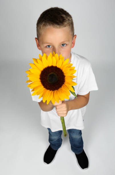 istock little blond boy is hiding behind a sunflower in his hand 888243882